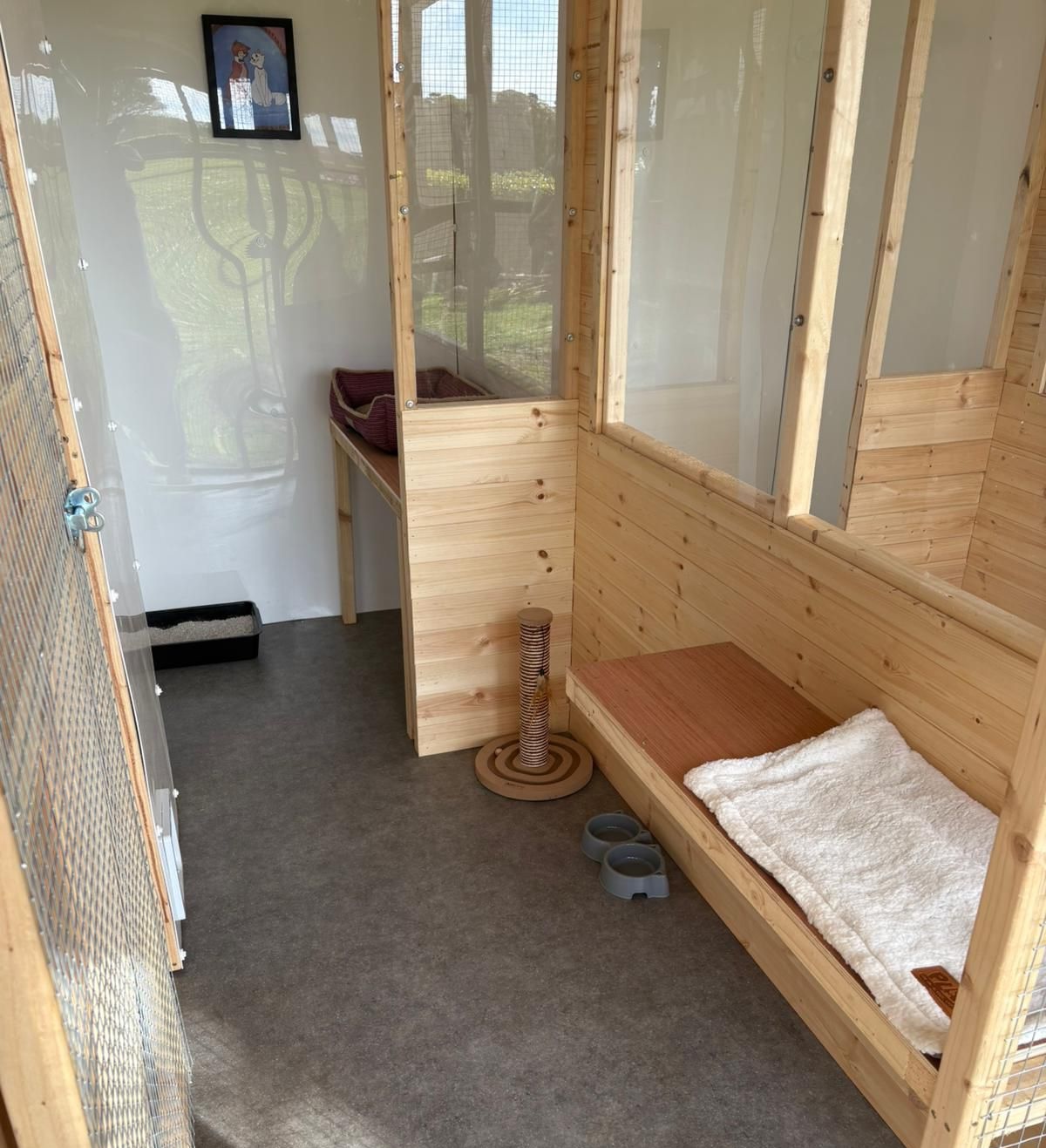 Interior of a spacious individual cat suite at Topcats Cattery
